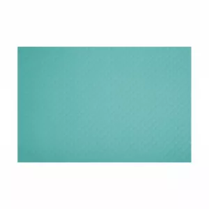 Set de table 30x40cm Bleu Turquoise COLOR